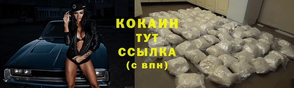spice Гусиноозёрск