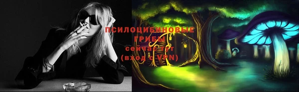 мяу мяу мука Дмитриев
