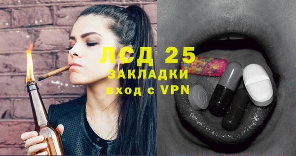 spice Гусиноозёрск