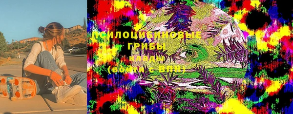 spice Гусиноозёрск