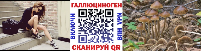 Галлюциногенные грибы GOLDEN TEACHER  где найти наркотики  Южно-Сухокумск 